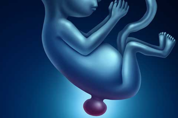 Nerve & Congenital Conditions